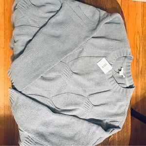 BNWT j•Jill sweater light blue